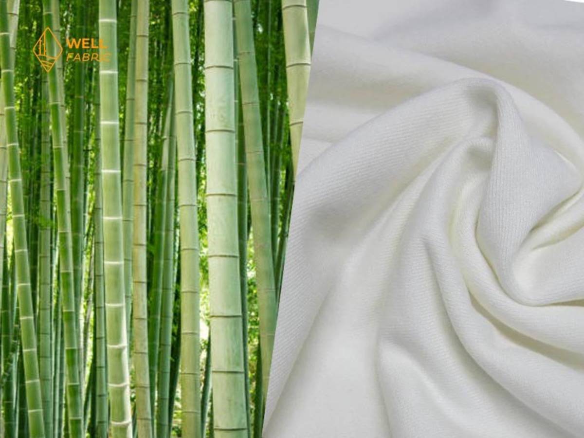 The Hidden World of Bamboo Pajamas: How Sustainable Fashion Is Becoming a Billion-Dollar Industry